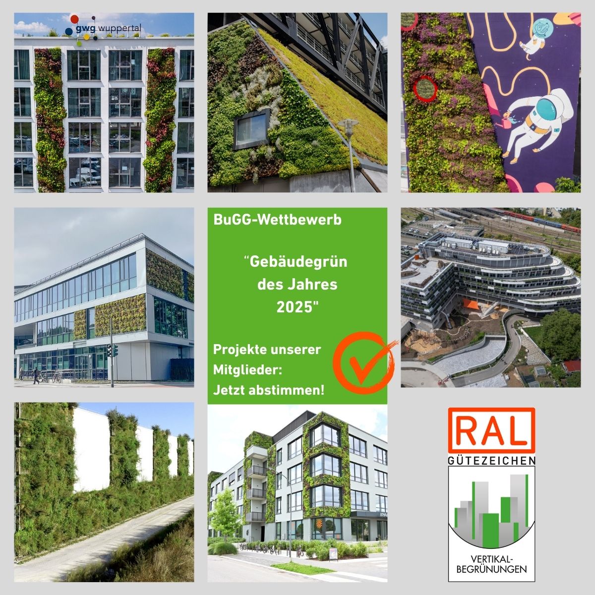 Gebäudegrün des Jahres 2025 Jetzt abstimmen