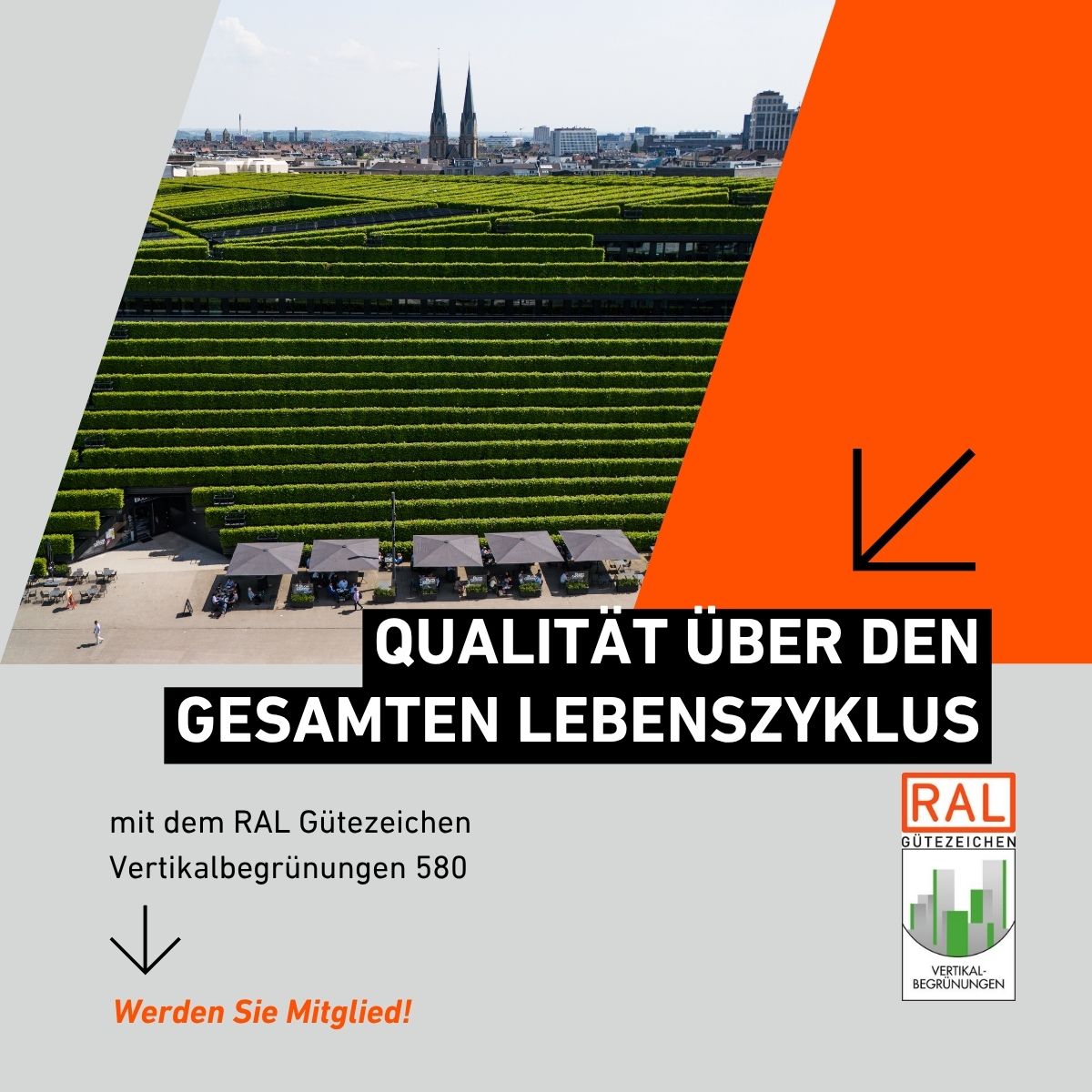 Qualität Lebenszyklus