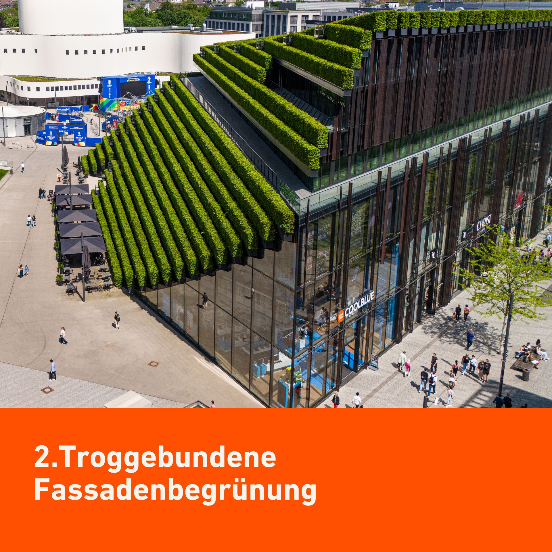 Troggebundene Fassadenbegrünung