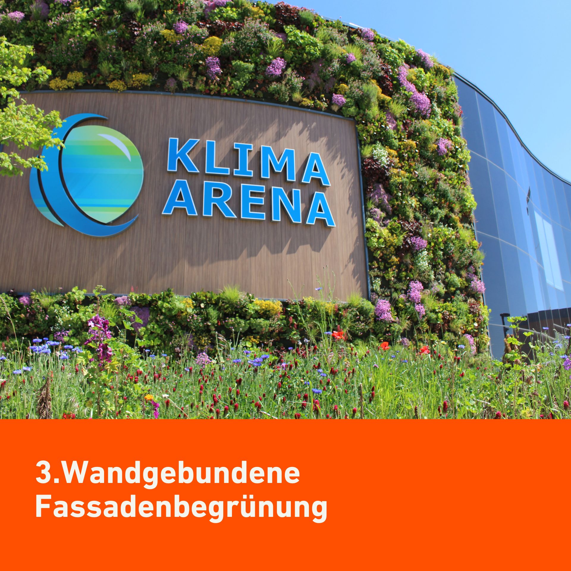 Wandgebundene Fassadenbegrünung